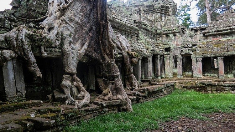 Một trường Công giáo Campuchia nhận giải thưởng về môi trường