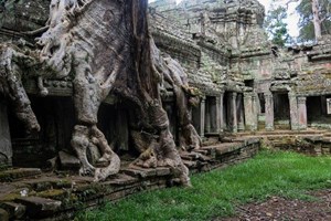 Một trường Công giáo Campuchia nhận giải thưởng về môi trường