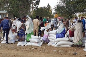 TGM của Addis Ababa: Hy vọng vào các cuộc đàm phán hòa bình tại Ethiopia
