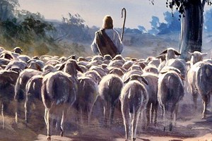 Chúa nhật 4 Phục sinh năm C - Chúa nhật Chúa chiên lành (Ga 10,27-30)