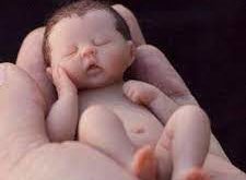 GP.Bắc Ninh - Người trẻ với con đường bảo vệ sự sống