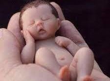 GP.Bắc Ninh - Người trẻ với con đường bảo vệ sự sống