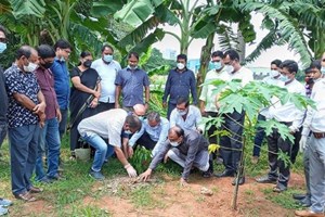 Giáo hội Bangladesh cổ võ bảo vệ môi trường