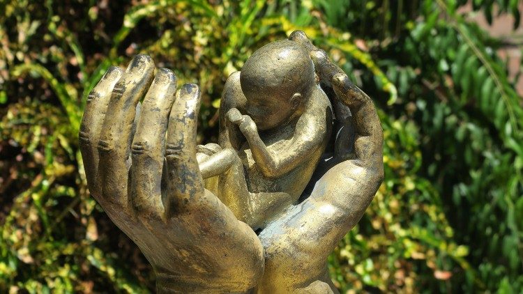 Tuyên bố của Vatican về quyết định đảo ngược phán quyết Roe v. Wade