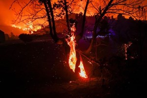 Các GM châu Âu: Ở châu Âu, 97% thảm hoạ môi trường là do con người