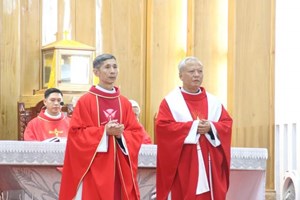 GP.Phát Diệm - Giáo xứ Cồn Thoi trong ngày đón Cha xứ mới