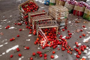 Đức Thánh Cha: Lãng phí thực phẩm là lãng phí con người