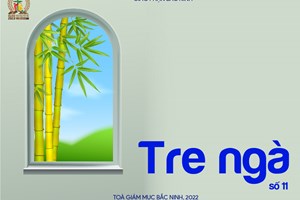 GP.Bắc Ninh - Tre ngà số 11, phần 2