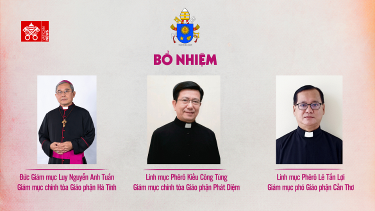 ĐTC bổ nhiệm GM Chính toà cho hai Giáo phận Hà Tĩnh và Phát Diệm và GM Phó Giáo phận Cần Thơ