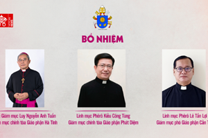 ĐTC bổ nhiệm GM Chính toà cho hai Giáo phận Hà Tĩnh và Phát Diệm và GM Phó Giáo phận Cần Thơ