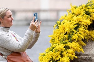 Đức Thánh Cha: Thế giới sẽ tốt đẹp hơn nếu có sự bình đẳng giới