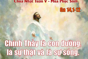 Chúa nhật 5 Phục sinh năm A (Ga 14,1-12)