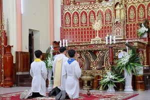 GP.Bắc Ninh - Giáo xứ Đại Từ Chầu Thánh Thể thay Giáo Phận