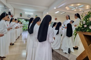 GP.Bắc Ninh - Hiệp hội Đức Maria – Mẹ Sự Sống: Tuyên lại lời khấn