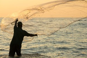 ĐHY Czerny: Giáo hội cảm ơn và gần gũi với những người làm việc trên biển