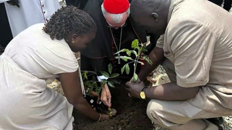 ĐHY Parolin mời gọi tín hữu Nam Sudan gạt bỏ ý tưởng trả thù, khiêm tốn phục vụ vì hòa bình