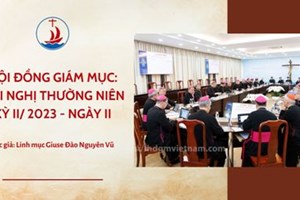 GP.Hưng Hóa - Hội đồng Giám mục: Hội nghị thường niên kỳ II/ 2023 - Ngày II