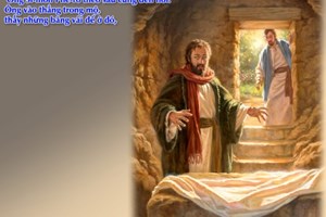 Học hỏi Tin Mừng: Chúa nhật Phục sinh