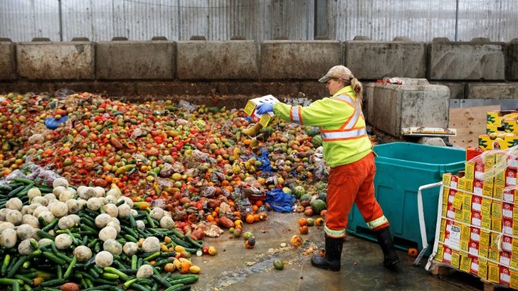 Toà Thánh tổ chức hội thảo về quyền thực phẩm