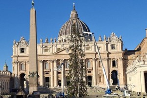 Cây thông Noel và Hang đá từ Ý và Costa Rica sẽ đến Vatican mùa Giáng sinh 2025
