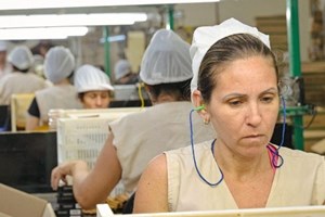 Đức Thánh Cha Lêô XIV: Nền kinh tế "vì lợi ích chung" là động lực của tương lai và công lý