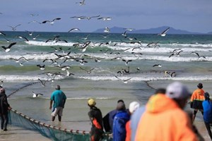 Vatican kêu gọi hành động vì ngư dân bị tổn thương nhân Ngày thế giới Ngư nghiệp 2025