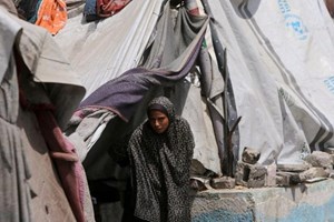 Tòa Thánh tái khẳng định ủng hộ giải pháp hai nhà nước cho Israel và Palestine