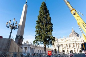 Ngày 15/12: Khai mạc hang đá và thắp sáng cây thông tại Quảng trường Thánh Phêrô
