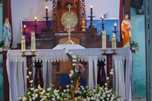 GP.Hưng Hóa - Chuẩn Xứ Tiền Phong Chầu Thánh Thể Chúa Thay Mặt Giáo Phận Năm 2025