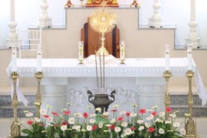 GP.Hưng Hóa - Chuẩn Xứ Minh Xuân Chầu Thánh Thể Thay Mặt Giáo Phận