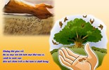 Thứ Hai tuần 17 Thường niên năm I - Sức sống bên trong (Mt 13,31-35)