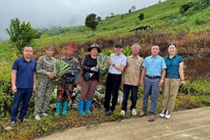 GP.Hưng Hóa - Giáo xứ Điện Biên làm bác ái trao 10.000 gốc dứa mật Mường Nhà cho bà con hai bản Huổi Hua và Tin Lá, xã Núa Ngam, tỉnh Điện Biên