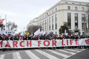 ĐTC Lêô XIV  gửi sứ điệp đến những người tham gia cuộc Tuần hành vì Sự sống tại Washington