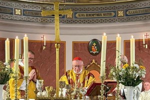 ĐHY Parolin cử hành Thánh lễ kỷ niệm 1.200 năm Thánh Ansgar rao giảng Tin Mừng tại Đan Mạch