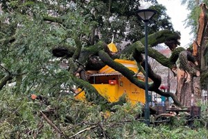 Đức Thánh Cha Lêô XIV cầu nguyện cho các nạn nhân của bão Kristin ở Bồ Đào Nha