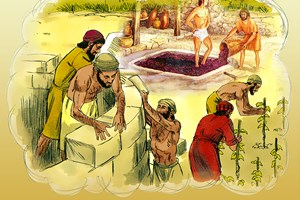 Thứ Sáu tuần 2 mùa Chay (Mt 21,33-43.45-46)