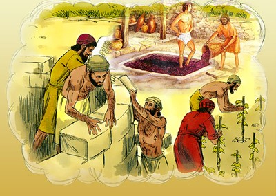 Thứ Sáu tuần 2 mùa Chay (Mt 21,33-43.45-46)