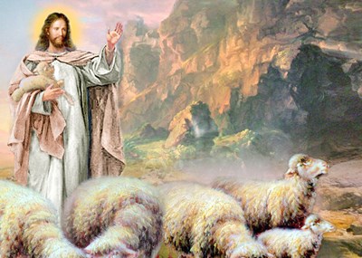 Thứ Ba tuần 4 Phục sinh - Mục tử (Ga 10,22-30)