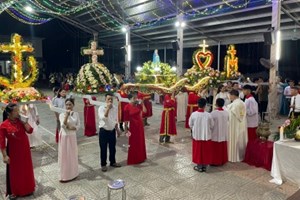 GP.Hưng Hóa - Giáo Họ Trại Cỏ: Cung Nghinh Đức Mẹ Và Dâng Hoa Tháng Năm