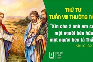 Thứ Tư tuần 8 Thường niên (Mc 10,32-45) - Để phục vụ năm II