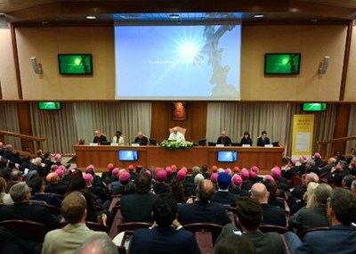 Các Giám mục Công giáo hoan nghênh thông điệp “Magnifica humanitas"