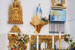 GP.Hưng Hóa - Giáo Họ Bạch Quê Hân Hoan Chầu Thánh Thể Thay Mặt Giáo Phận Trong Chúa Nhật Lễ Chúa Ba Ngôi