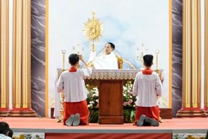 GP.Hưng Hóa - Giáo Họ Phượng Sơn - Giáo Xứ Phù Lao: Chầu Thánh Thể Thay Mặt Giáo Phận Và Thánh Lễ Chúa Nhật XI Thường Niên Năm A