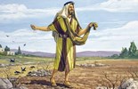 Thứ Sáu tuần 16 Thường niên năm II - Mảnh đất tâm hồn (Mt 13,18-23)
