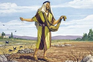Thứ Sáu tuần 16 Thường niên năm II - Mảnh đất tâm hồn (Mt 13,18-23)