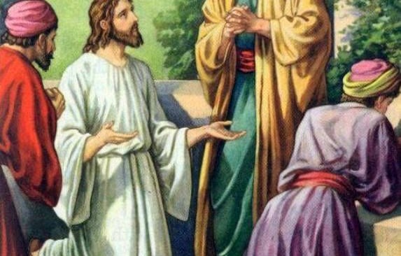 Chúa nhật 17 Thường niên năm A (Mt 13,44-52)