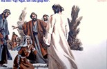 Chúa nhật 20 Thường niên năm A (Mt 15,21-28)