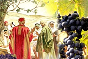 Tôi đâu có bất công (20.9.2020 – Chúa Nhật 25 Thường niên, Năm A)